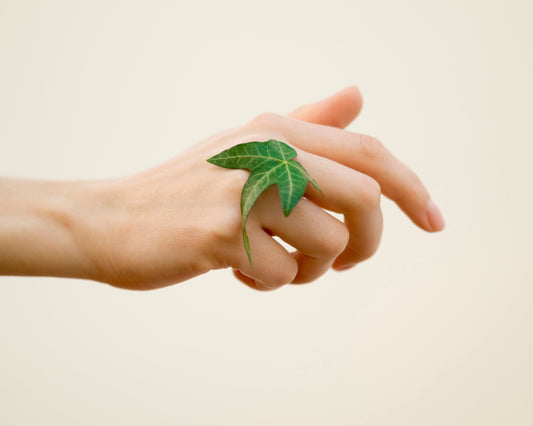Hand gently holding a green leaf symbolizing 100% organic and natural living