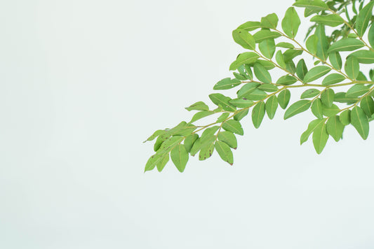 What is the Difference Between PCOS and PCOD?