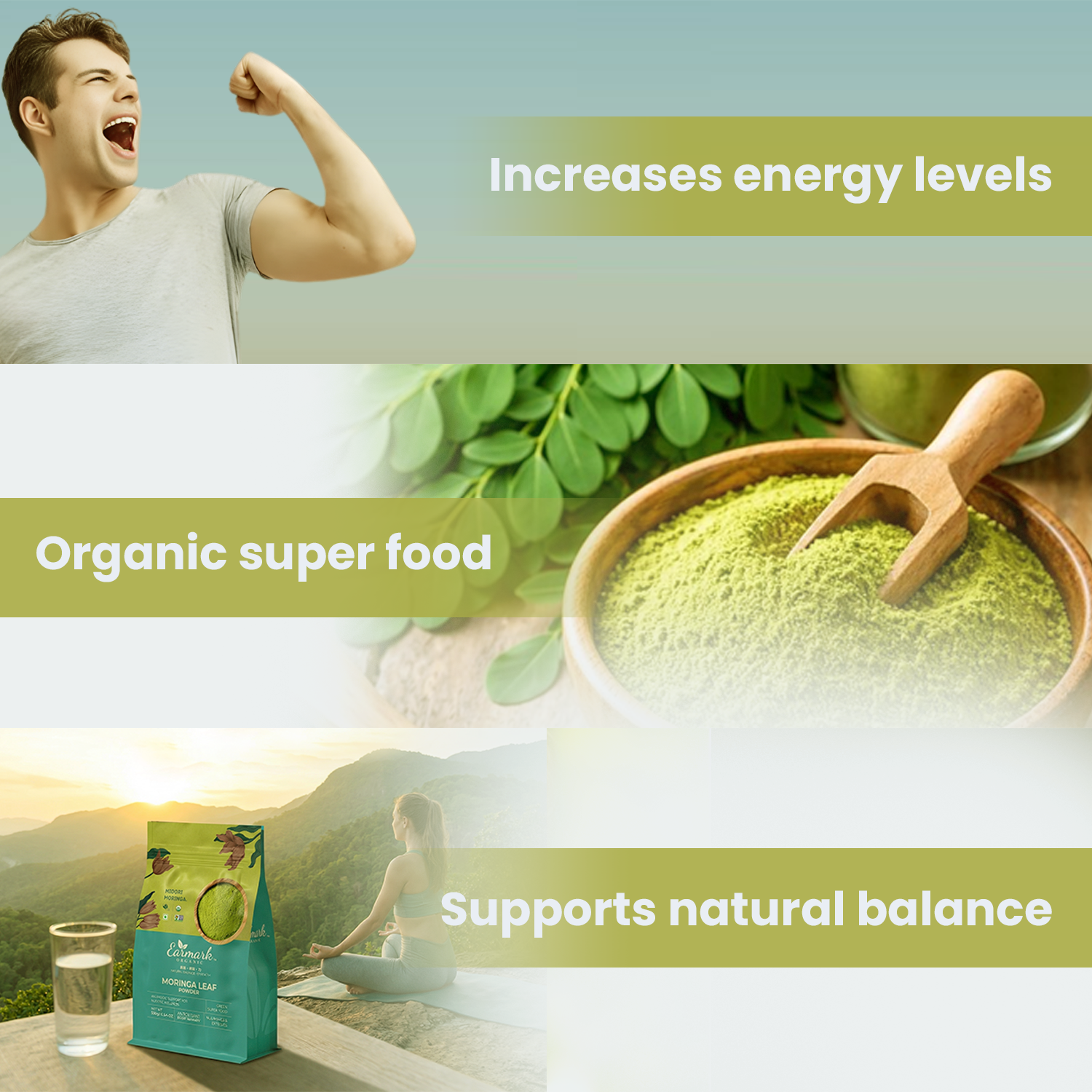 Earmark Organic Moringa Leaf Powder (500g) – The Ultimate Green Superfood | 100% Pure