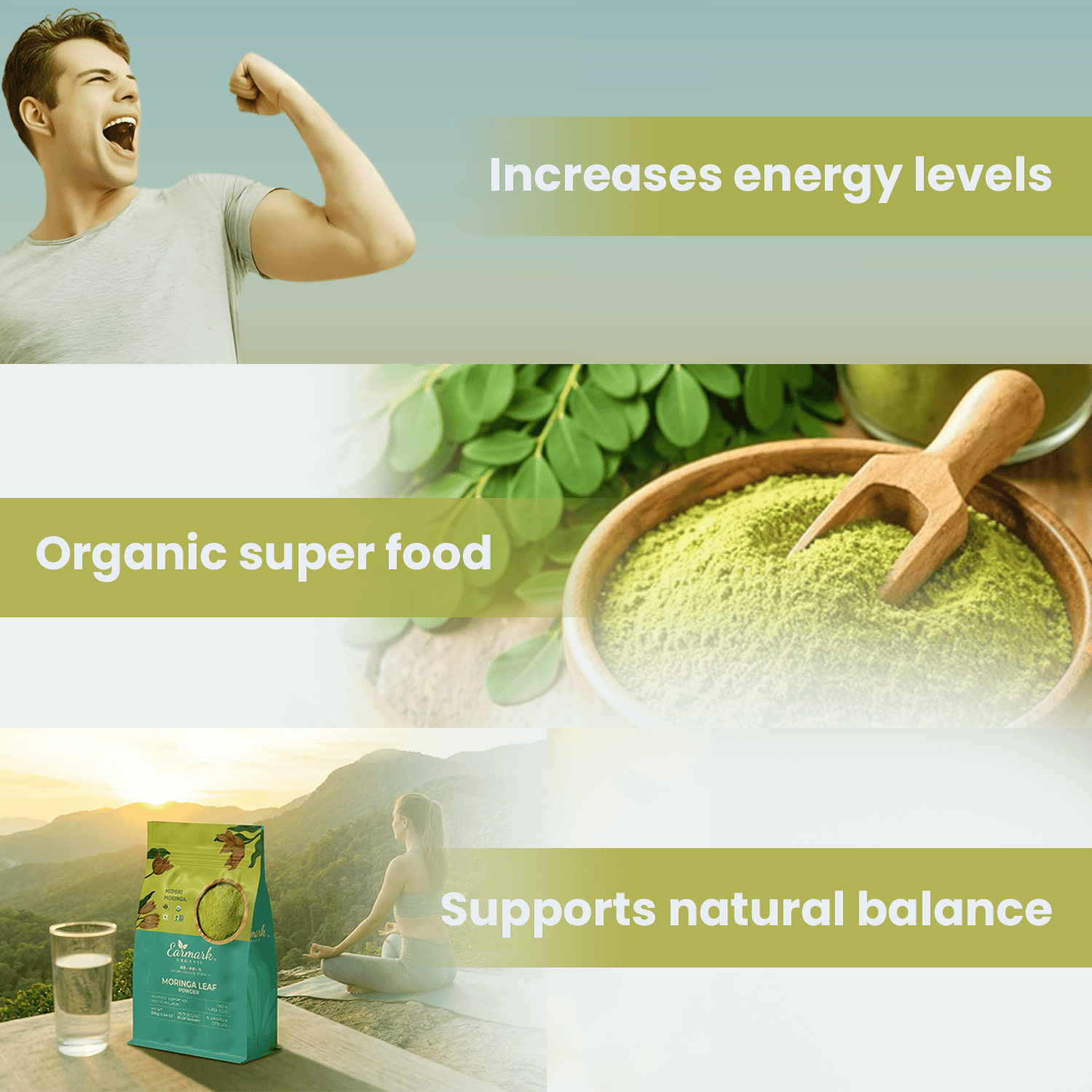 Earmark Organic Moringa Leaf Powder (500g) – The Ultimate Green Superf